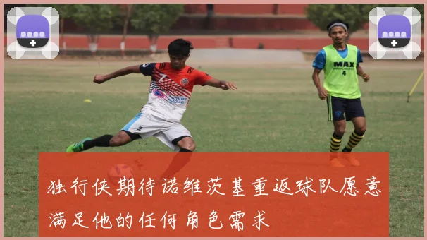 独行侠期待诺维茨基重返球队愿意满足他的任何角色需求