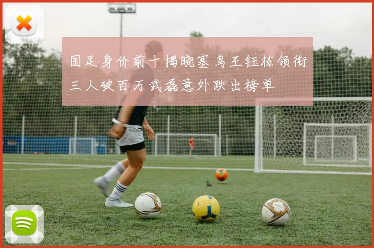 国足身价前十揭晓塞鸟王钰栋领衔三人破百万武磊意外跌出榜单