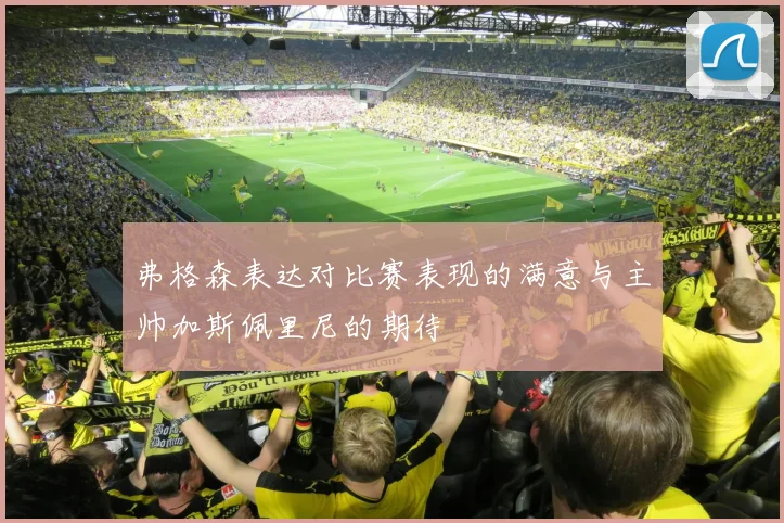 弗格森表达对比赛表现的满意与主帅加斯佩里尼的期待